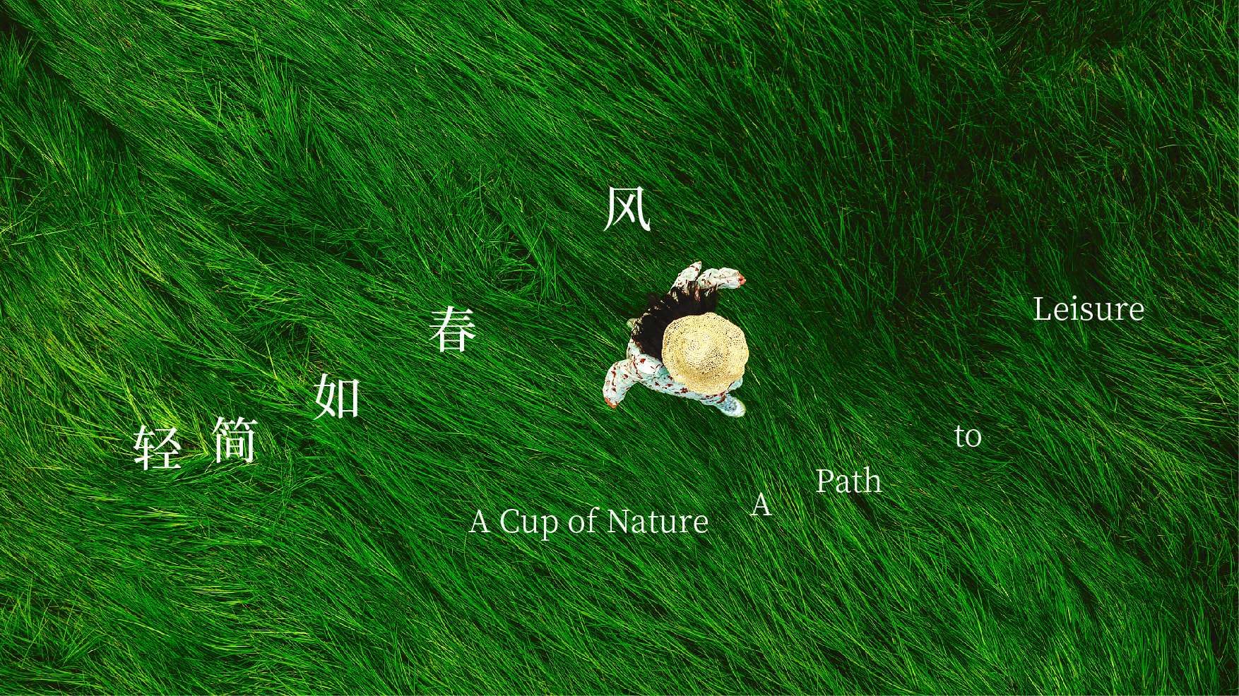 SeeTea看茶｜喝一杯好茶让心灵出走